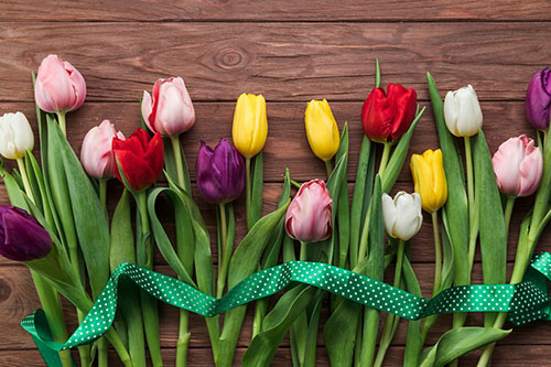 Значение цвета тюльпана